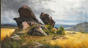 Rocks In A Field, Allinge, Bornholm