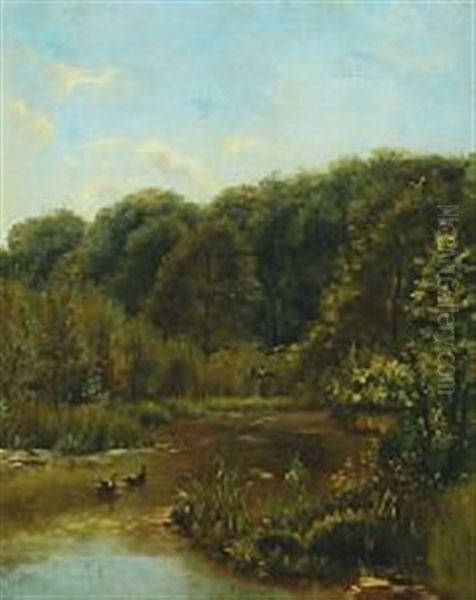 Riverscenery With Swimming And Flying Ducks - view 1