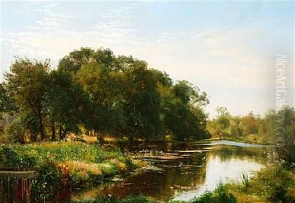 Summer Day At A Forest Lake - view 1