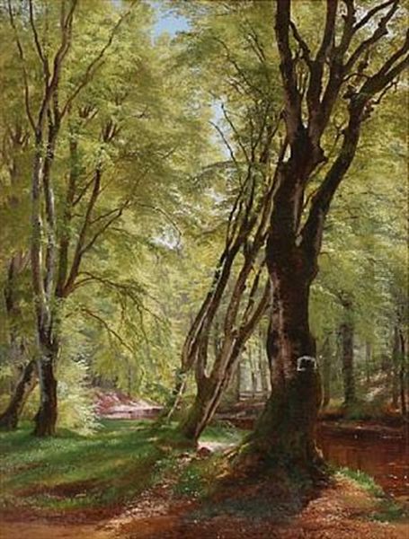 Spring Day In The Woods - view 1