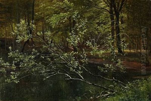 Forest Scene - view 1