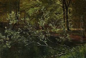 Forest Scene Forest Scene
