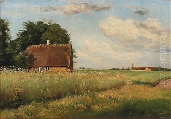 Danish Summer Idyll - view 1