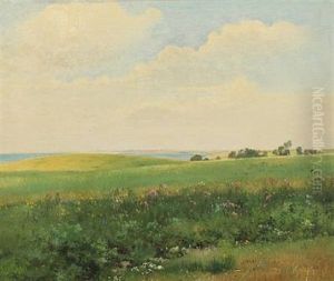 Summer Landscape With Rolling Fields Summer Landscape With Rolling Fields