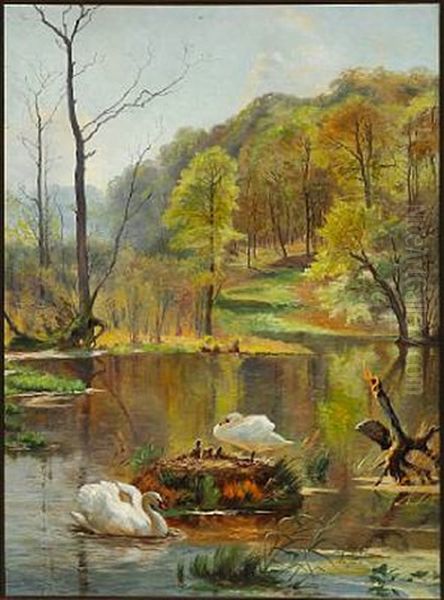 Forest Lake With Swans And Cygnets In The Nest - view 1