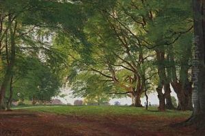 View From The Deer Garden In Denmark by Carl Frederik Peder Aagaard