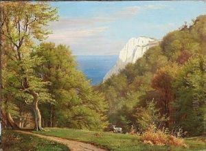 Summer Day At Moens Klint, Denmark
