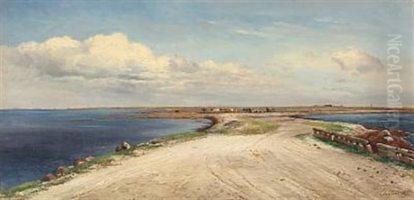 Summer Idyll At Saltholm With Grazing Cows, Denmark - view 1