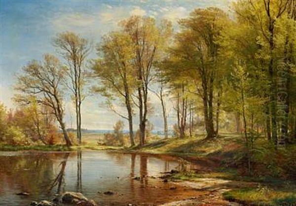 Tall Trees At A Lake In The Woods, With A View To The Sea - view 1