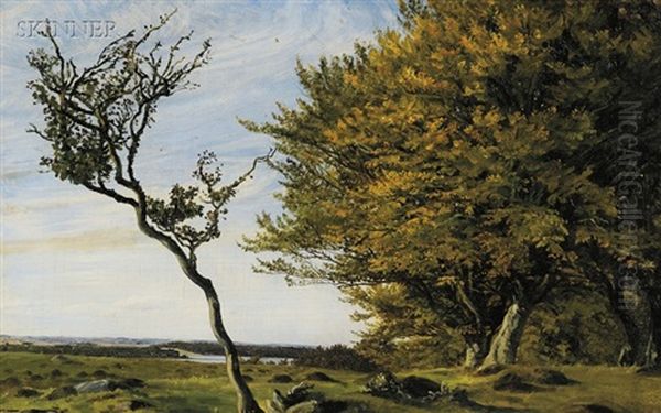 Summer Landscape - view 1