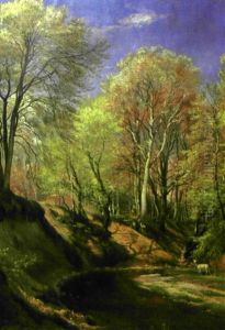 Paysage De Foret Paysage De Foret