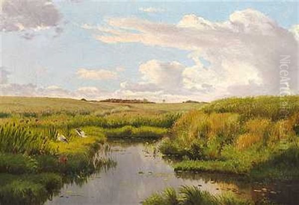 Storke I Et Landskab - view 1