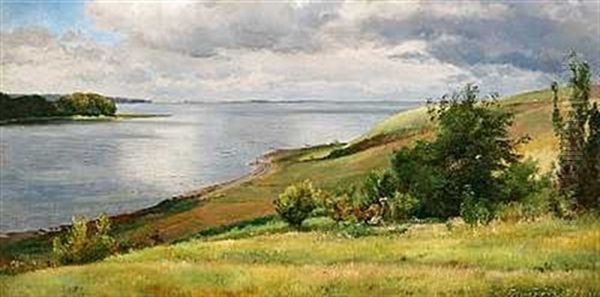 En Mand Sidder Og Beundrer Udsigten Over Vandet - view 1