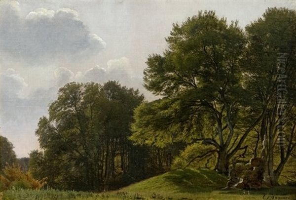 Kuperet Skovparti, I Forgrunden Lysning, Sommer - view 1