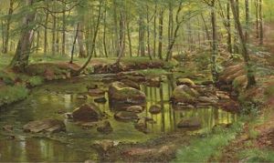 Mossy Rocks In A Stream thumbnail