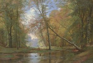 A Forest Landscape A Forest Landscape