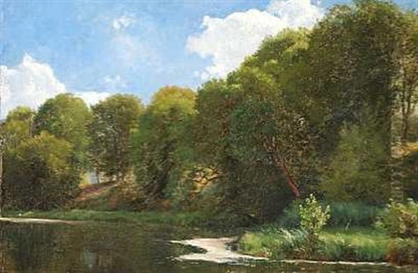 En Skovso, Sommer - view 1