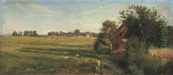 Herons Foraging In A Field, With Cattle Beyond - view 1