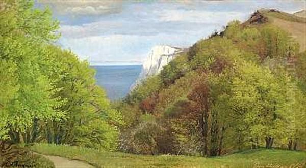 Parti Fra Moens Klint - view 1