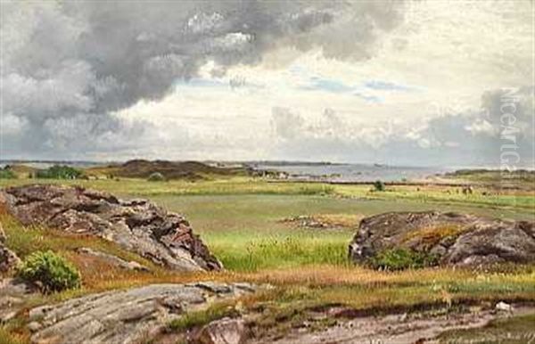 Fjordlandskab Med Store Sten I Forgrunden - view 1