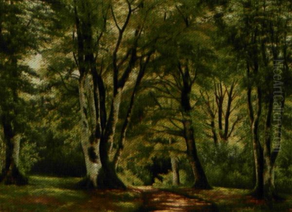 Gron Forarsskov - view 1
