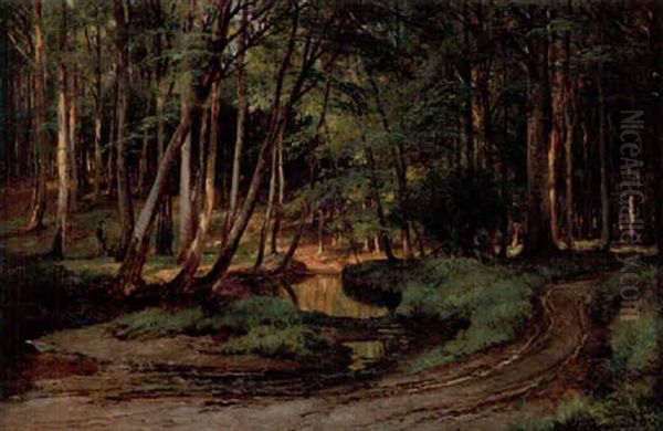 Solbelyst Skogsdunge - view 1