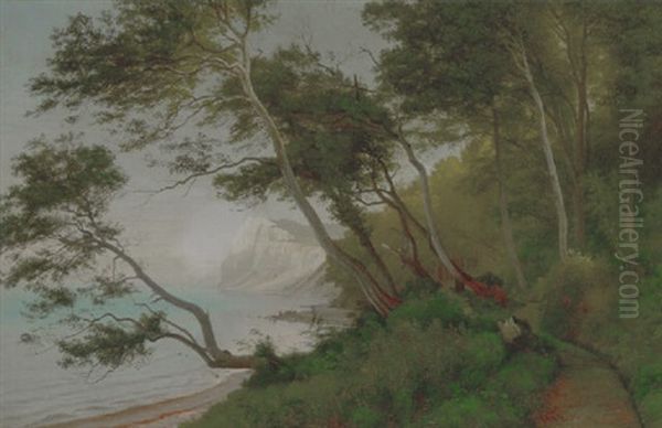 Udsigt Mod Mons Klint - view 1
