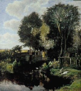 Hus Og Aender Ved Vandlob