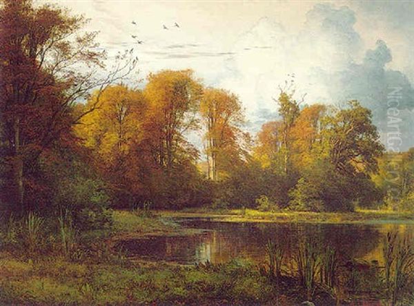 Pond In The Forest - view 1