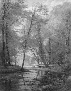 River Landscape River Landscape