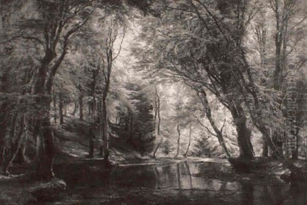 Deep In The Forest - view 1