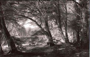 Rehwild Auf Waldlichtung by Carl Frederik Peder Aagaard