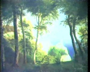 Bizarre Kustenlandschaft Bizarre Kustenlandschaft