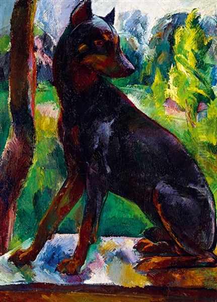 Eszter Mattioni's Favourite Dog - view 1