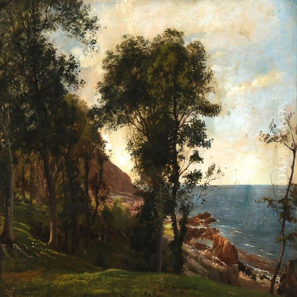 Summer Day At A Coast - view 1