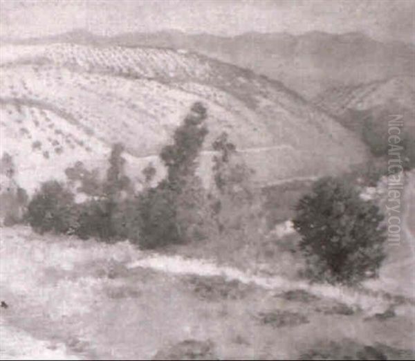Paisaje - view 1