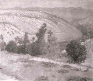 Paisaje Paisaje