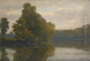 Lever De Brume Sur L'etang