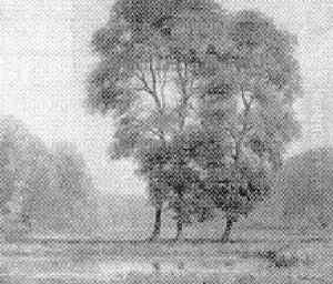 Paysage Automnal Paysage Automnal