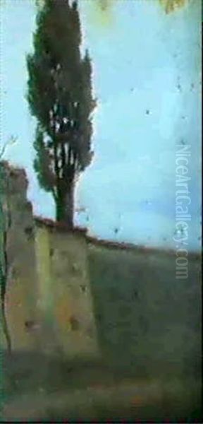 Il Cipresso - view 1