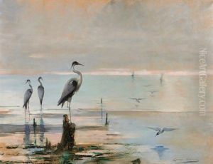 Herons En Bord De Mer