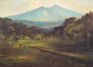 Sawah Landscape