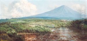 Sawah's At The Foot Of Volcano Merapi