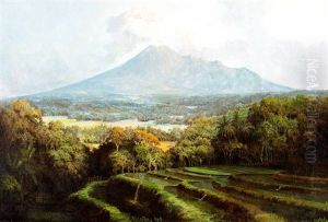 Landschap Met Rijstvelden En Vulkaangebergte