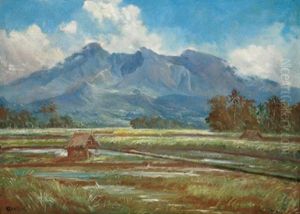 Landschaft Mit Blick Auf Bergmassiv Uber Reisfelder