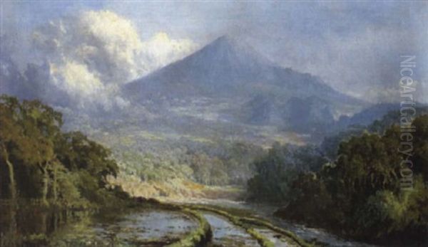 Vulkanlandscaft Auf Jawa - view 1