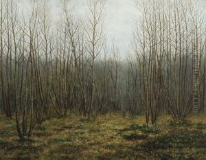 Paysage Boise by Albijn van der Abeele