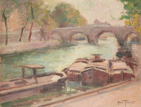 La Seine A Paris - view 1