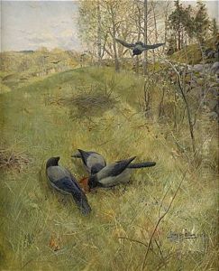 Krakorna Samlas by Gunnar Aberg