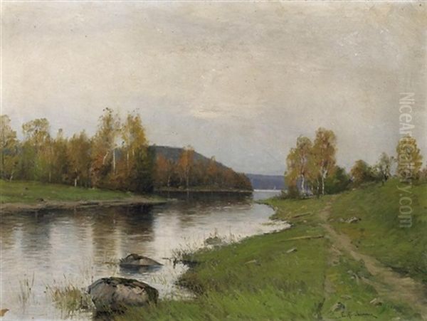 Blick In Schwedische Auenlandschaft - view 1
